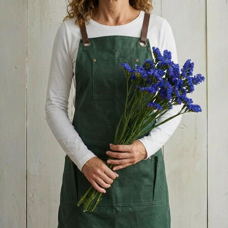 QIS Dark Blue, Statice Seeds - Packet image number null